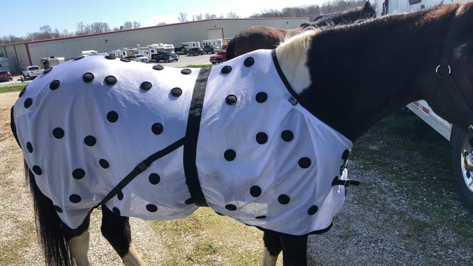 Arrow A Ranch Adjustable Shoulder Fit System