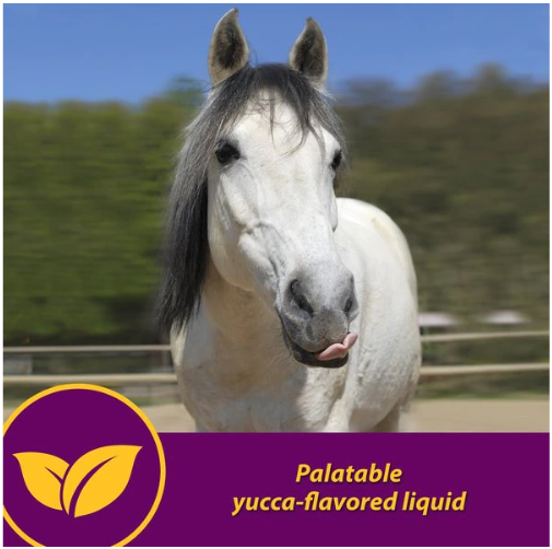 Red Cell Vitamin-Iron-Mineral Supplement for Horses