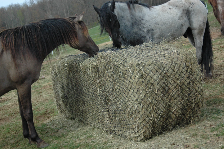 HAY CHIX® LARGE BALE NET - 6'