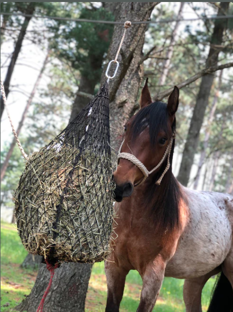 Hay Chix® Tie-Line Keeper