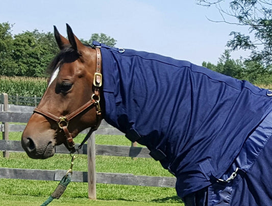 Back On Track Therapeutic Horse Mesh Neck Cover