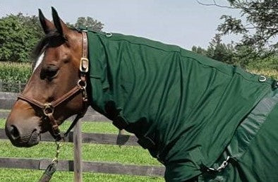 Back On Track Therapeutic Horse Mesh Neck Cover