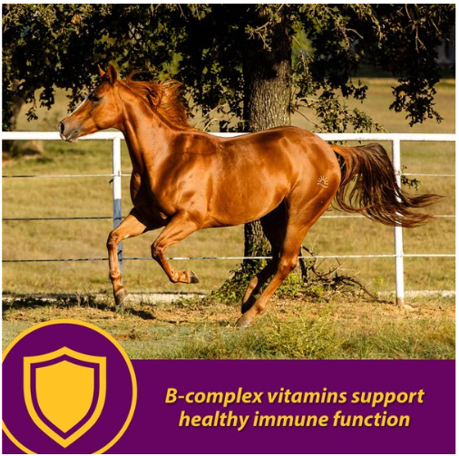 Red Cell Vitamin-Iron-Mineral Supplement for Horses