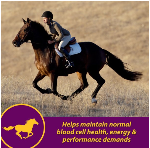 Red Cell Vitamin-Iron-Mineral Supplement for Horses